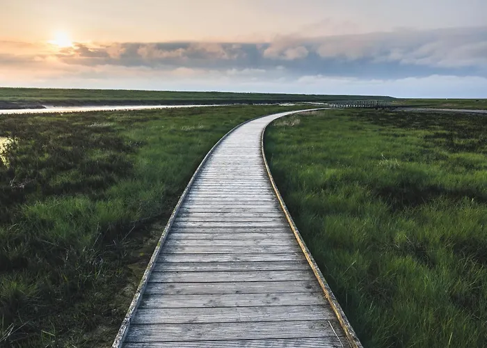 Lieblingsplatz - Exklusive Mit Sauna & Nah Am Strand! Apartman *