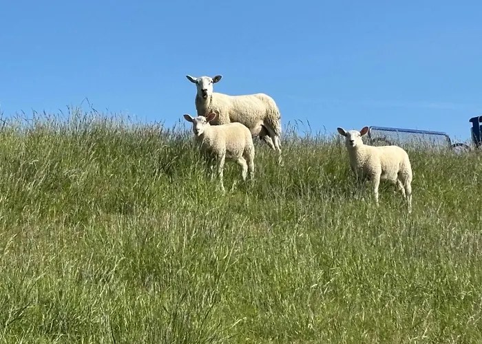 Lieblingsplatz - Exklusive Mit Sauna & Nah Am Strand!