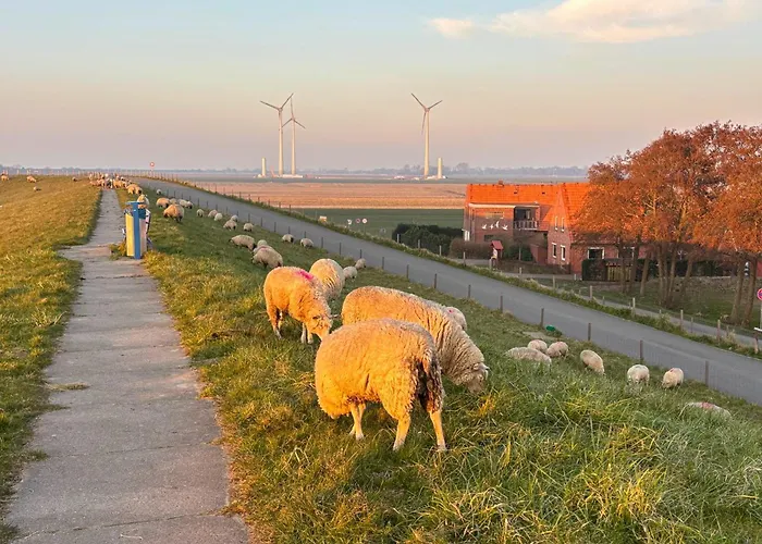 Apartman Lieblingsplatz - Exklusive Mit Sauna & Nah Am Strand! Tossens